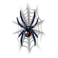 Black Widow On Web Temporary Tattoo (2.5"x3.5")